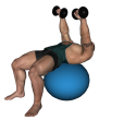 Dumbbell Press - Fitness Ball and Flye